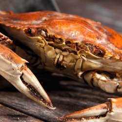 Crab Boil recipe