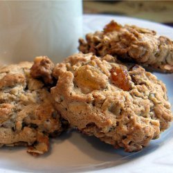 Best Oatmeal Cookies recipe