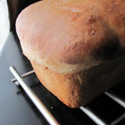 Basic Sourdough Bread recipe