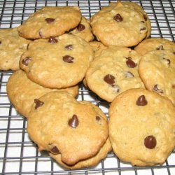 Chocolate Chip, Oatmeal, Walnut and Coconut Cookies recipe