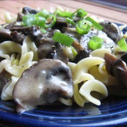 Wild Mushroom Stroganoff recipe