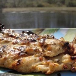 Grilled Italian Chicken Breasts recipe