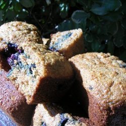 Yogurt Blueberry Bran Muffins recipe