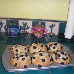 CopyCat Junior's  Berries on Top  Jumbo Blueberry Muffins recipe