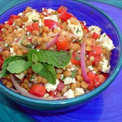 Lebanese Lentil Salad recipe