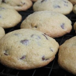 Alton Brown - Chewy Gluten Free Chocolate Chip Cookies recipe