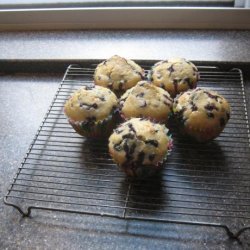 Any Muffins Recipe recipe