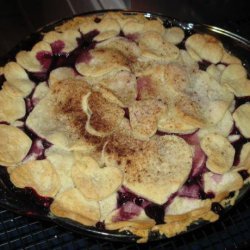 Martha Stewarts Foolproof Pie Crust recipe