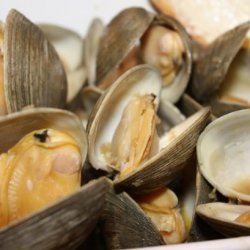 Steamed Clams or Mussels recipe