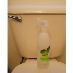 Environmentally Friendly Toilet Disinfectant recipe