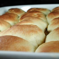 Crescent Roll Dough (Bread Machine) recipe