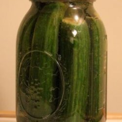 Kosher Jewish  Pickles recipe