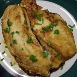 Honey Ginger Grilled Salmon, Swordfish or Mahi Mahi recipe