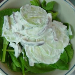 Cucumber and Red Onion Salad recipe