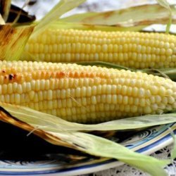 Grilled Fresh Sweet Corn on the Cob in Husks recipe
