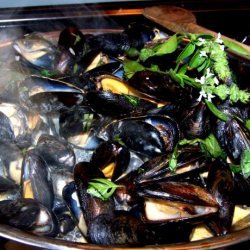 Thai  Steamed Mussels recipe