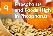 Phosphorus and Foods High in Phosphorus