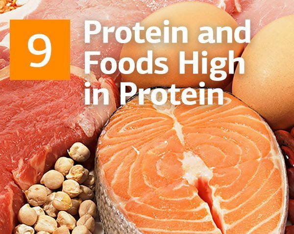 What is Protein and The Top 10 Protein High Foods You Should Eat According To Nutritionists
