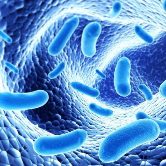What are Probiotics, their  Benefits, Probiotic Supplements and Foods