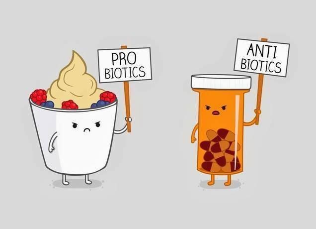 Diseases cured by probiotics