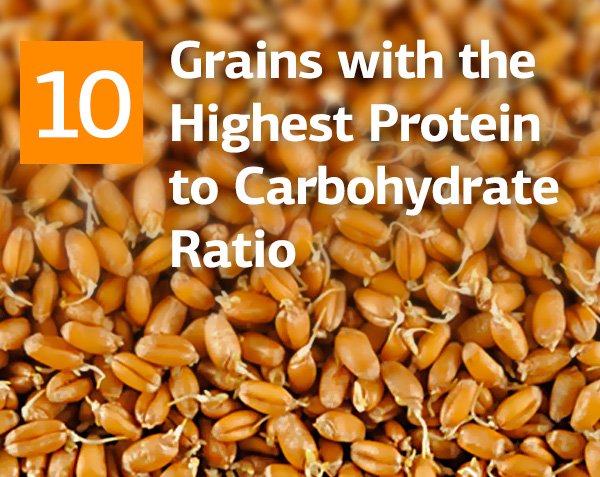 Top 10 Grains and Legumes with the Highest Protein to Carbohydrate Ratio