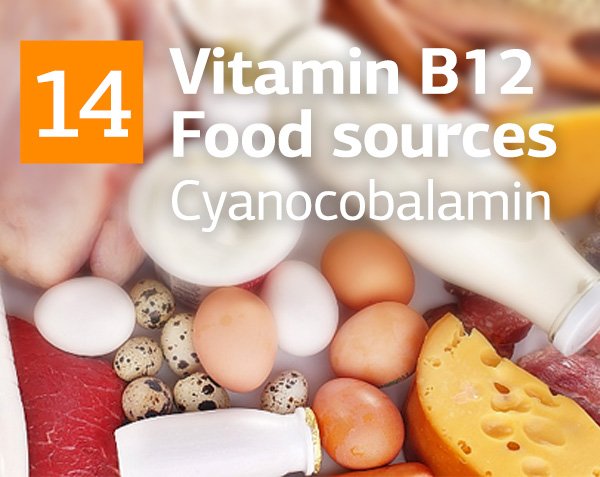 What is Vitamin В12  and Top 14 Foods Rich in it. 