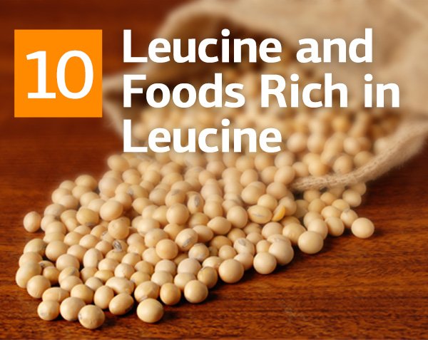 Leucine and Foods Rich in Leucine