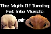 How to turn fat into muscles?