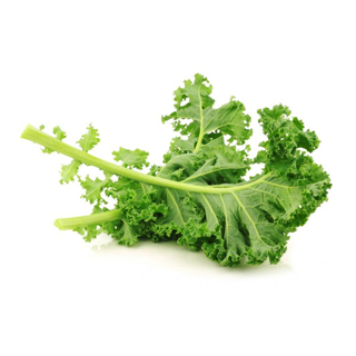 Kale Protein info