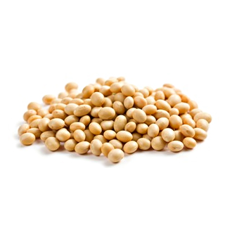 Natto Protein info