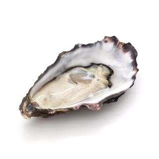 Oysters Vitamin B12 info