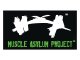 Muscle Asylum Project