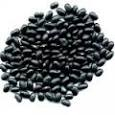 black bean