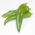 anaheim pepper