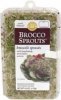 Brocco Sprouts broccoli sprouts Calories
