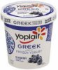 Yoplait frozen yogurt low fat, greek, blueberry Calories