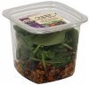 Signature cafe salad layered, quinoa berry & spinach Calories