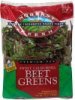 Noreast Fresh salad sweet california beet greens Calories