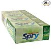 Spry spearmint chewing gum Calories