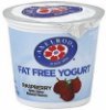 Axelrod yogurt fat free, raspberry Calories