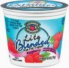 Lowes foods yogurt lite blended non fat raspberry Calories