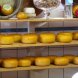 cheese, edam usda Nutrition info