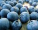 blueberries usda Nutrition info