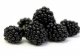 blackberries usda Nutrition info