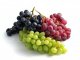 grapes, red or green (european type, such as thompson seedless) usda Nutrition info