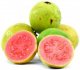 guavas, common
