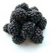 blackberries, frozen, unsweetened