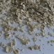 100% natural steel cut oats (dry) oatmeal
