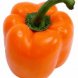 Freshdirect orange hothouse bell pepper Calories
