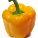 yellow hothouse bell pepper